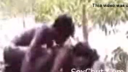 Desi jungle sex video